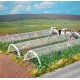 1399 Busch Folietunnels 2 stuks