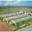 1399 Busch Folietunnels 2 stuks