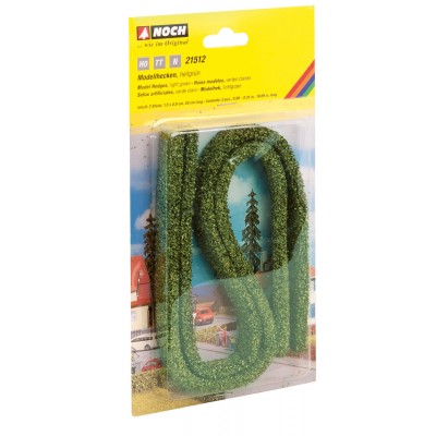 21512 Noch Heg lichtgroen 2 stuks