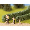 21512 Noch Heg lichtgroen 2 stuks