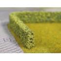 21512 Noch Heg lichtgroen 2 stuks