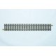 6001 Modelrail recht 204 mm