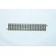 6005 Modelrail recht 165 mm