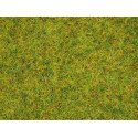 08310 Noch strooigras 'Zomerweide' 20g