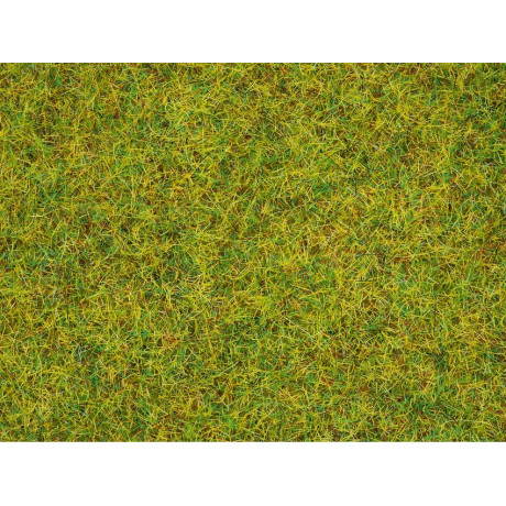 08310 Noch strooigras 'Zomerweide' 20g