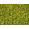 08310 Noch strooigras 'Zomerweide' 20g