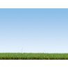 50220 Noch strooigras &#39;Weide&#39; 2,5 mm 100g