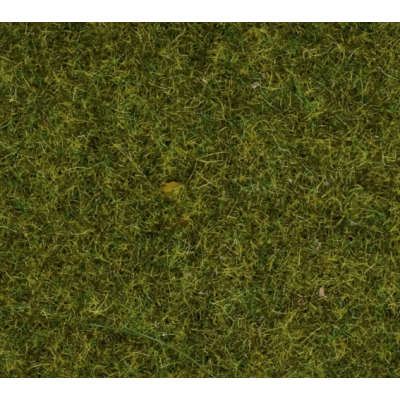 08212 Noch strooigras 'Weide' 1,5 mm 20g