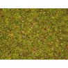 08155 Noch strooigras 'Bloemenweide'