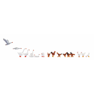 15772 Noch Kippen en ganzen