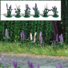 1217 Busch Wilde lupines