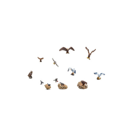 A1970 Woodland Vogels en nesten