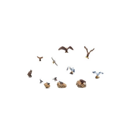 A1970 Woodland Vogels en nesten