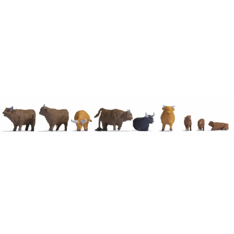 15728 Noch Hooglanders