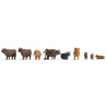 15728 Noch Hooglanders