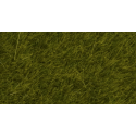 07100 Noch Wildgras 'Weide'