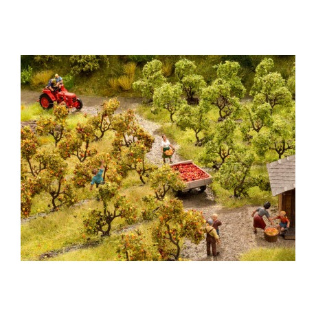 21530 Noch Boomgaardbomen