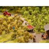 21530 Noch Boomgaardbomen
