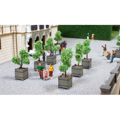 14013 Noch Sierbomen in bakken