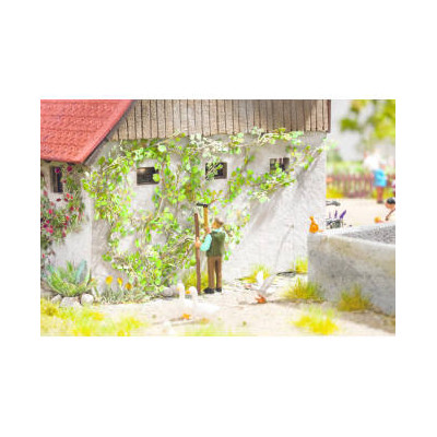 14132 Noch wilde wingerd