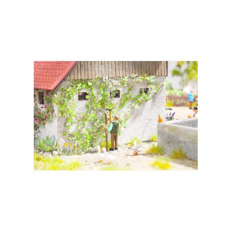 14132 Noch wilde wingerd