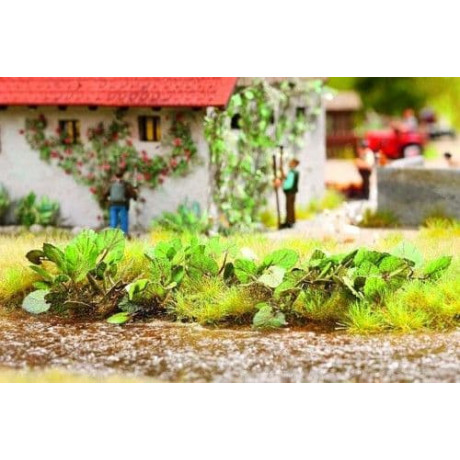 14136 Noch Groot hoefblad