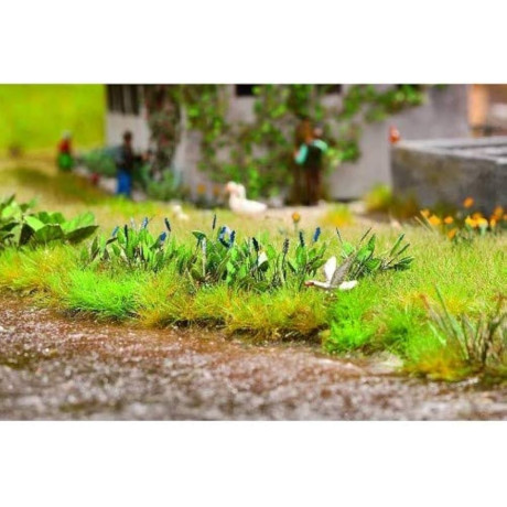 14142 Noch Hechtkraut