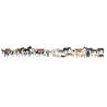 16049 Noch Set dieren