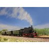 26619 Märklin Treinset 'Spalter Bockl' Glaskast DB