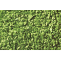 07142 Noch Loof, licht groen