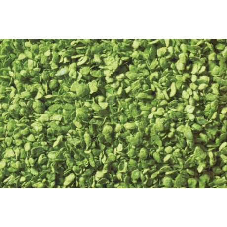07142 Noch Loof, licht groen