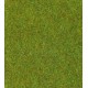 30901 Heki Landschapsmat groen 75 x 100 cm