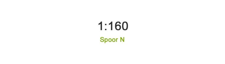 Schaal 1:160 Spoor N