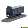 95427 Piko - 2D image